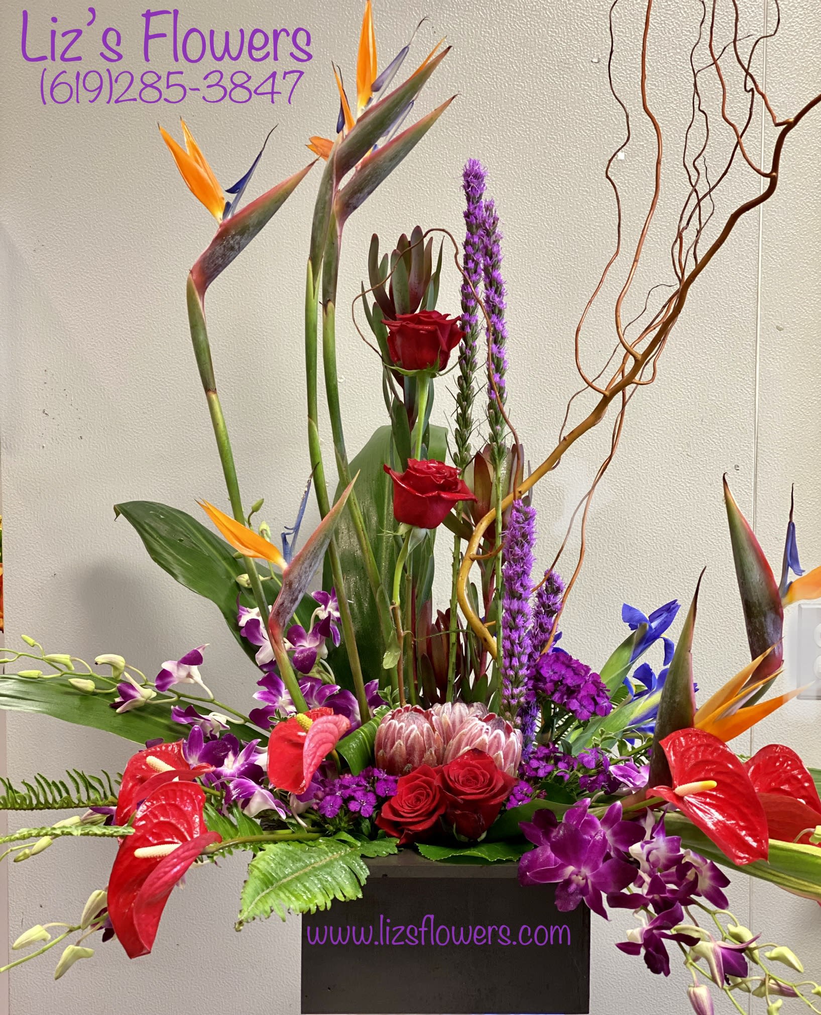 Tropical Dream - Stylish and vibrant tropical flowers designed in modern style. 