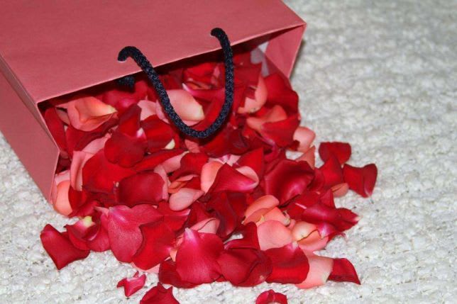 Rose Petals Red In Miami Fl Luxury Flowers Miami