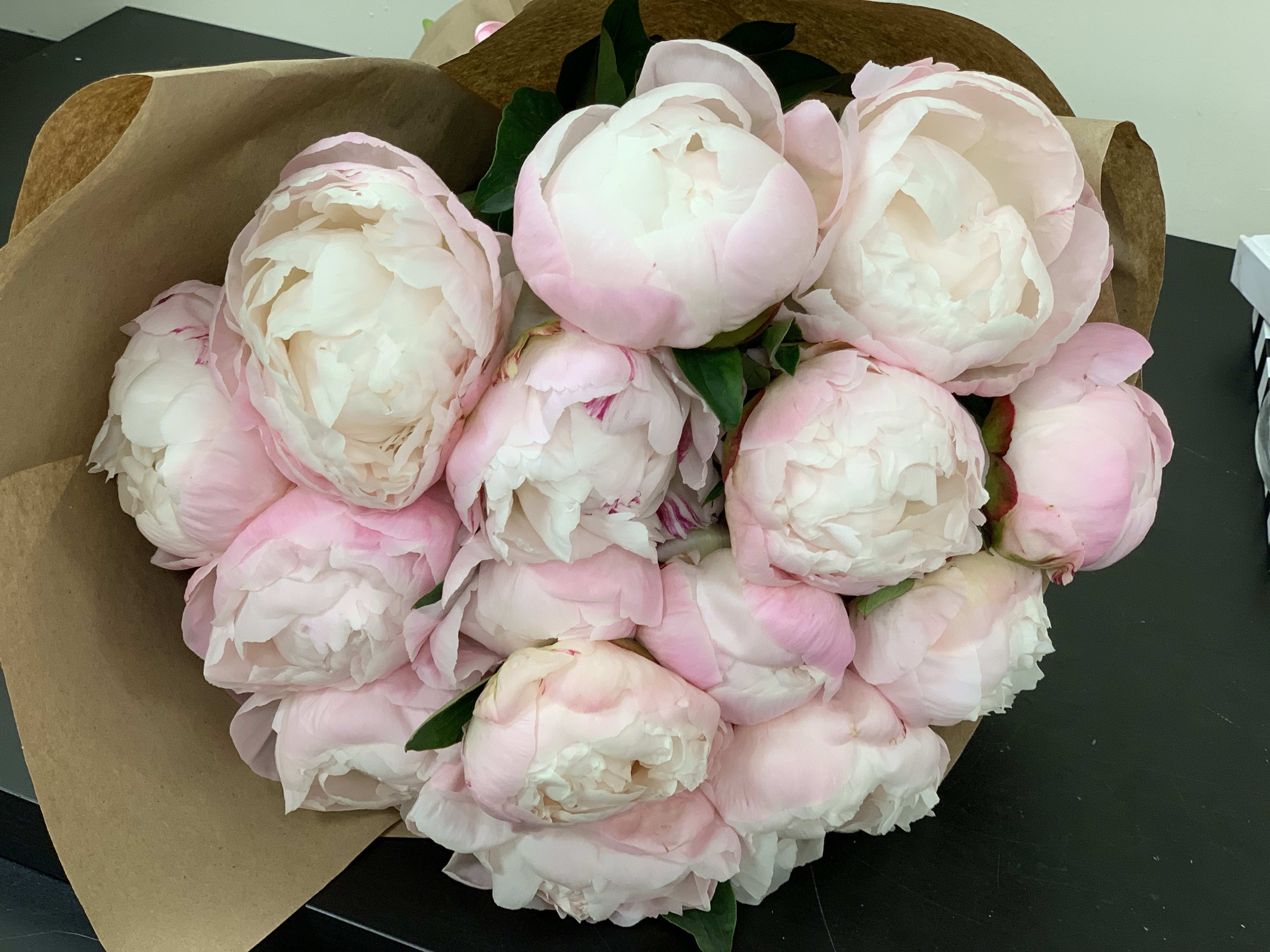 Peonies Hand-crafted Bouquet  - Elegant and simple bouquet. Includes 15 peonies 