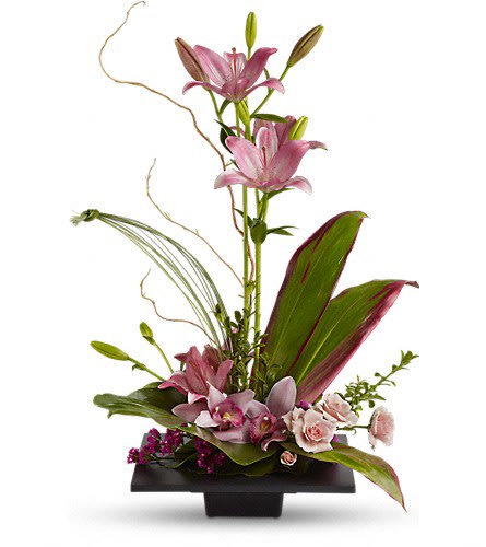 Imagination Blooms with Cymbidium Orchids - Imagination Blooms with Cymbidium Orchids