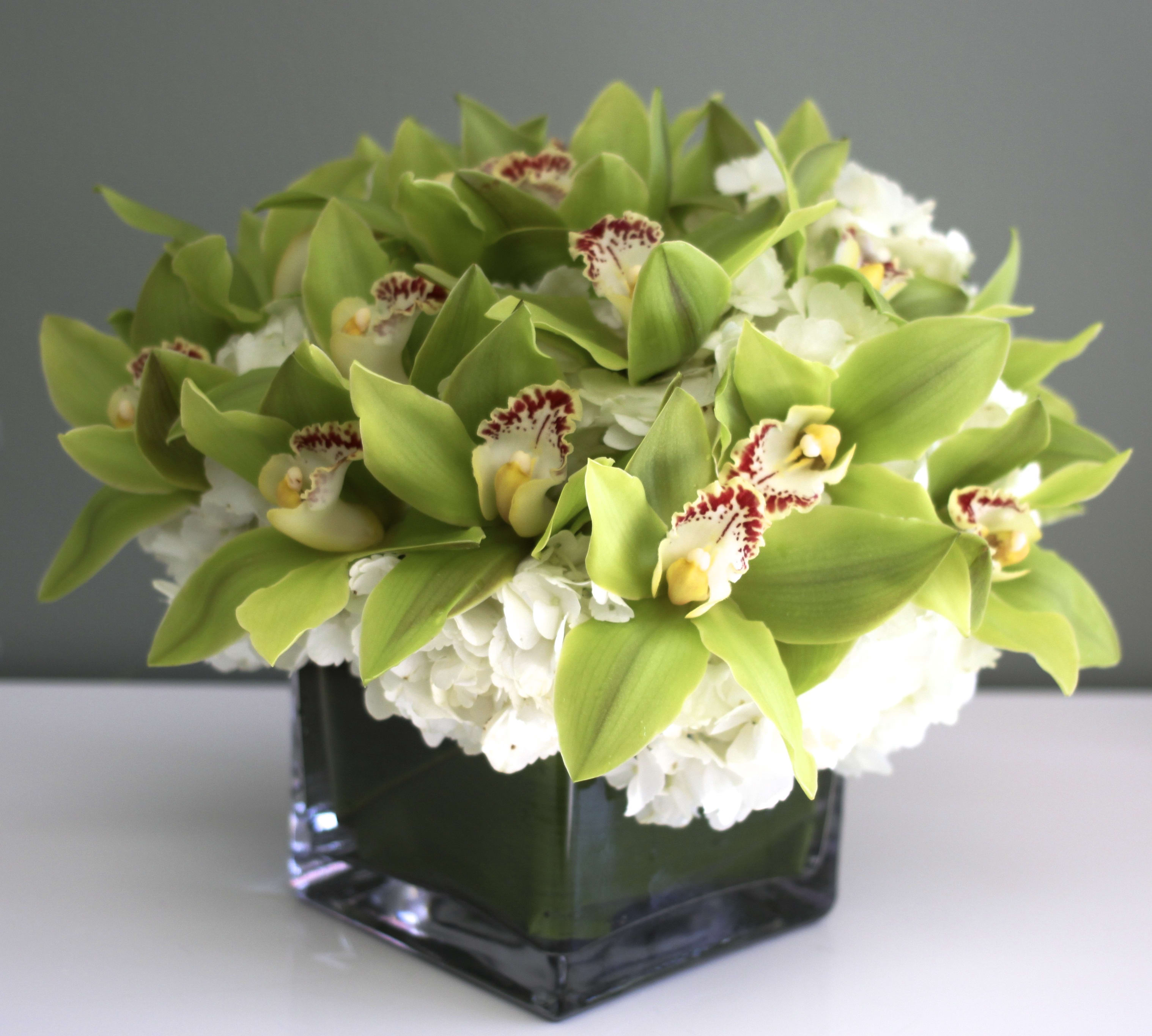 Green Orchids in a vase - White hydrangeas beautifully accented with green cymbidium orchids in a glass cube, 