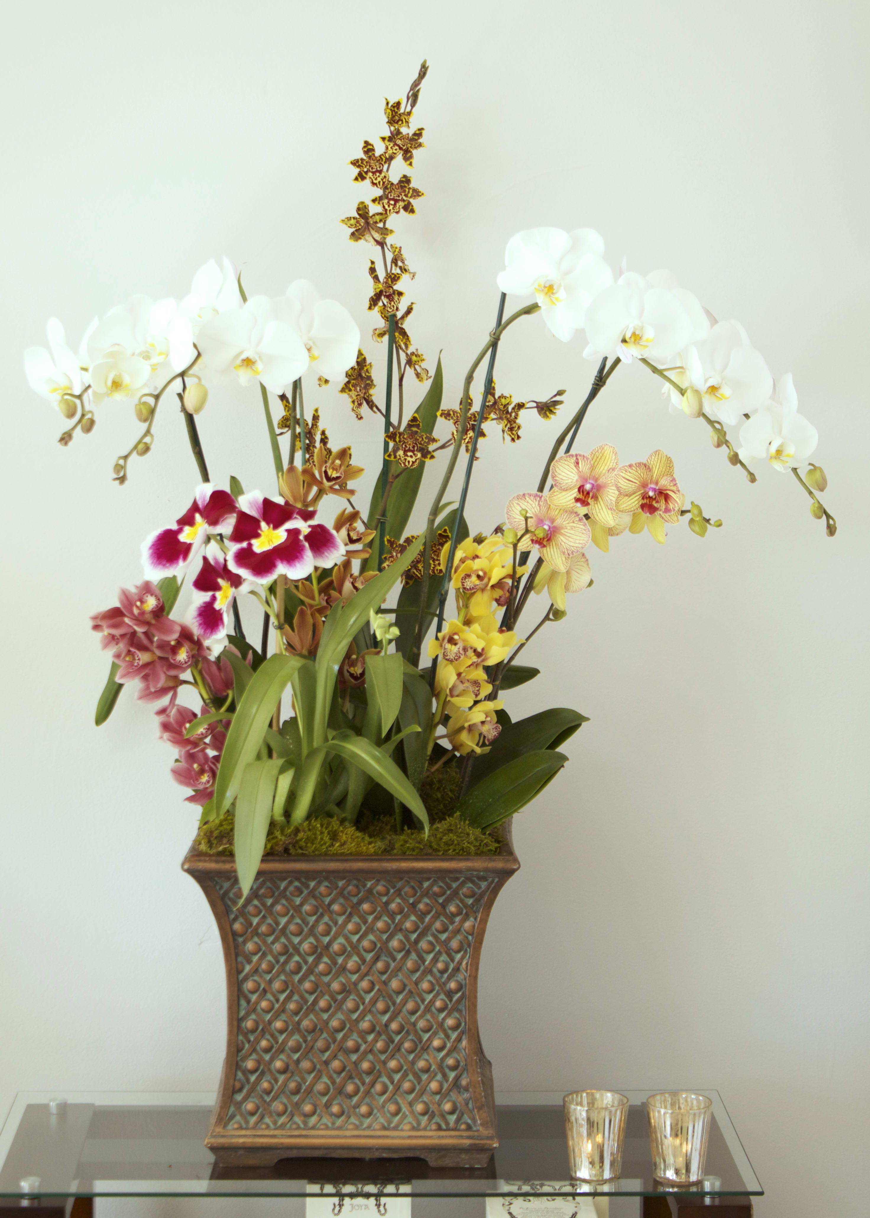 Orchids, Orchids And Even More Orchids - Stunning arrangement of various Orchids in a ceramic vase. This massive arrangement of multi-colored Orchids is sure to astonish all who see it in any home or office.
