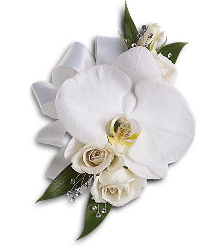 White Orchid and Rose Corsage - Stunning snow-white blooms are both elegant and versatile. A lovely white phalaenopsis orchid with white spray roses and Italian ruscus.Approximately 5 1/2&quot; W x 8&quot; H Orientation: N/A As Shown : T196-5A
