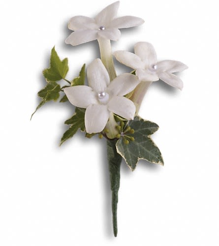 White Gloves Boutonniere - Classic white stephanotis are equally elegant and fragrant. Classic white stephanotis with variegated ivy and seeded eucalyptus.Approximately 3&quot; W x 4 1/2&quot; H Orientation: N/A As Shown : T203-3A