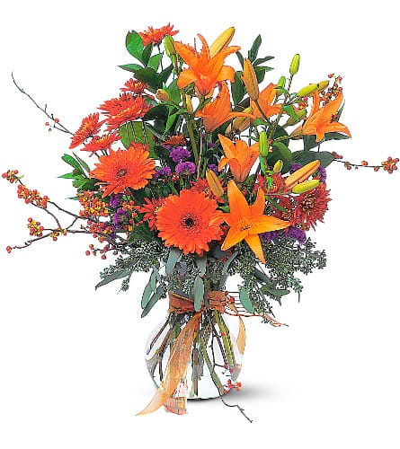Autumn Sunshine - With its gorgeous orange flowers and fresh fall scent this arrangement is wonderful for any ghost or goblin. Perfect for Thanksgiving too. Chrysanthemums gerberas lilies and eucalyptus are delivered in a clear vase adorned with ribbon.Approximately 22&quot; W x 25&quot; H Orientation: One-Sided As Shown : TF78-1