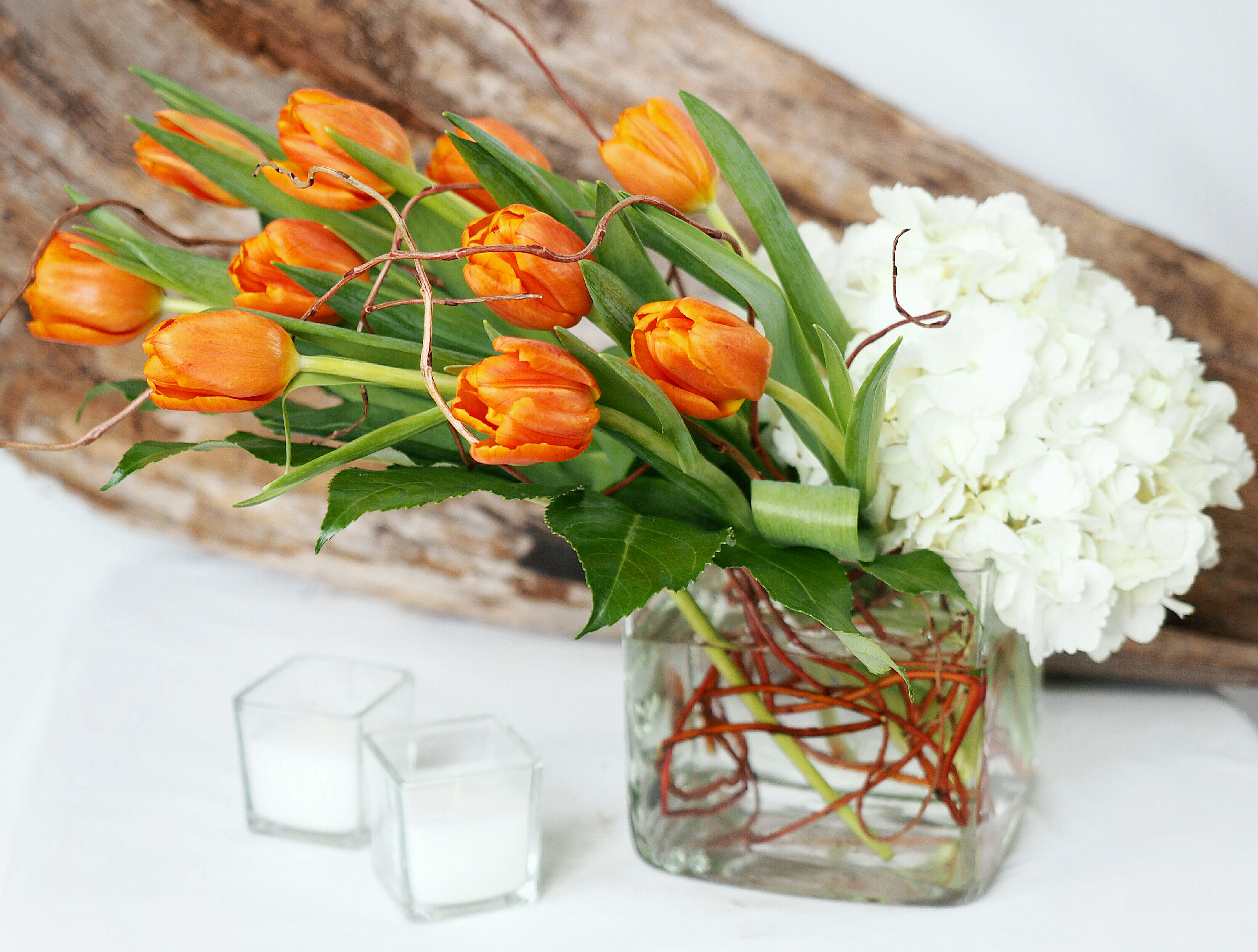 Campbell in St Paul, MN Your Enchanted Florist