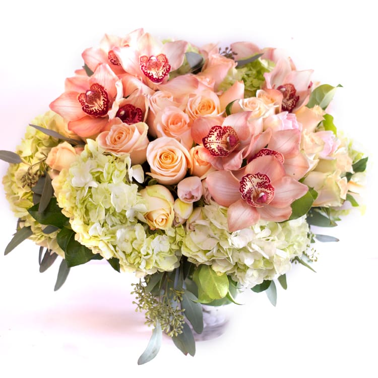 Peaches for Aimee  - Over 50 Ecuadorian Roses, 10 Hydrangeas accented with Dutch Cymbidium Orchids. Approx. 18&quot; Round