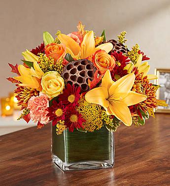 Healing Tears™ Fall Healing Tears™ Fall - All-around arrangement with red daisy poms; orange carnations; yellow roses and Asiatic lilies; bronze football mums; yarrow; accented with solidago, variegated pittosporum, dried oak leaves and lotus pods Artistically designed in a classic clear glass cube lined with a Ti leaf ribbon