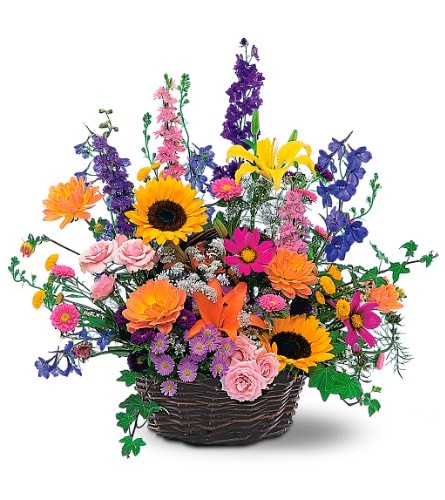 Summertime Sensation Basket - There's nothing like a bright summer day. And there's nothing like receiving a colorful basket of summer flowers that will make any day brighter. Asters chrysanthemums cosmos and dahlias arrive in a wicker basket.Approximately 29&quot; W x 27&quot; H Orientation: One-Sided As Shown : TF65-1