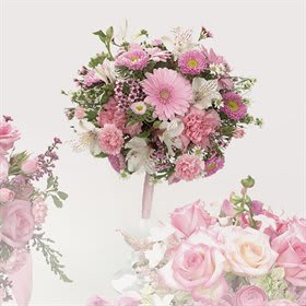 Pink Gerbera Daisy and Carnation Bouquet  - Roses rule in all three of these stunning bouquets. Choose the one that best fits your style and budget and dreams!   Approximately 12&quot;H x 11&quot;W x 9&quot;D