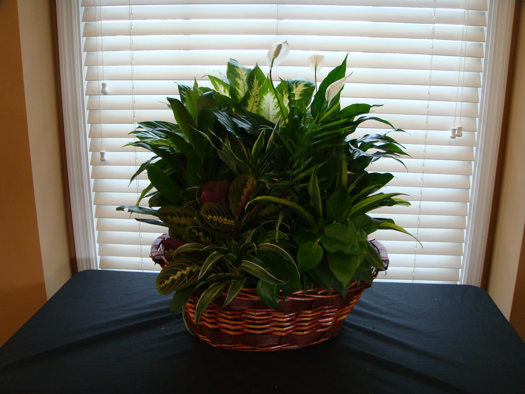the Amazon Basket Large Wicker Basket Of Plants in Huntsville, AL