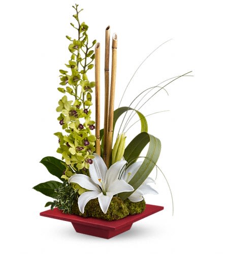 Teleflora's Secret Oasis - This lovely serene bouquet makes a Zen-sational gift for any special occasion. They'll be thrilled with this artistic arrangement of orchids lilies and exotic accents in a red bamboo dish. It's like a trip to Shangri-La. This exotic arrangement includes green dendrobium orchids white asiatic lilies an aralia leaf green flax bear grass oregonia and mood moss accented with pieces of natural river cane. Delivered in a red bamboo dish.Approximately 15 1/2&quot; W x 22 1/2&quot; H Orientation: One-Sided As Shown : TEV12-1ADeluxe : TEV12-1BPremium : TEV12-1C