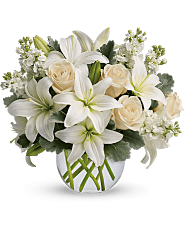 White beauty - designed by a professional
