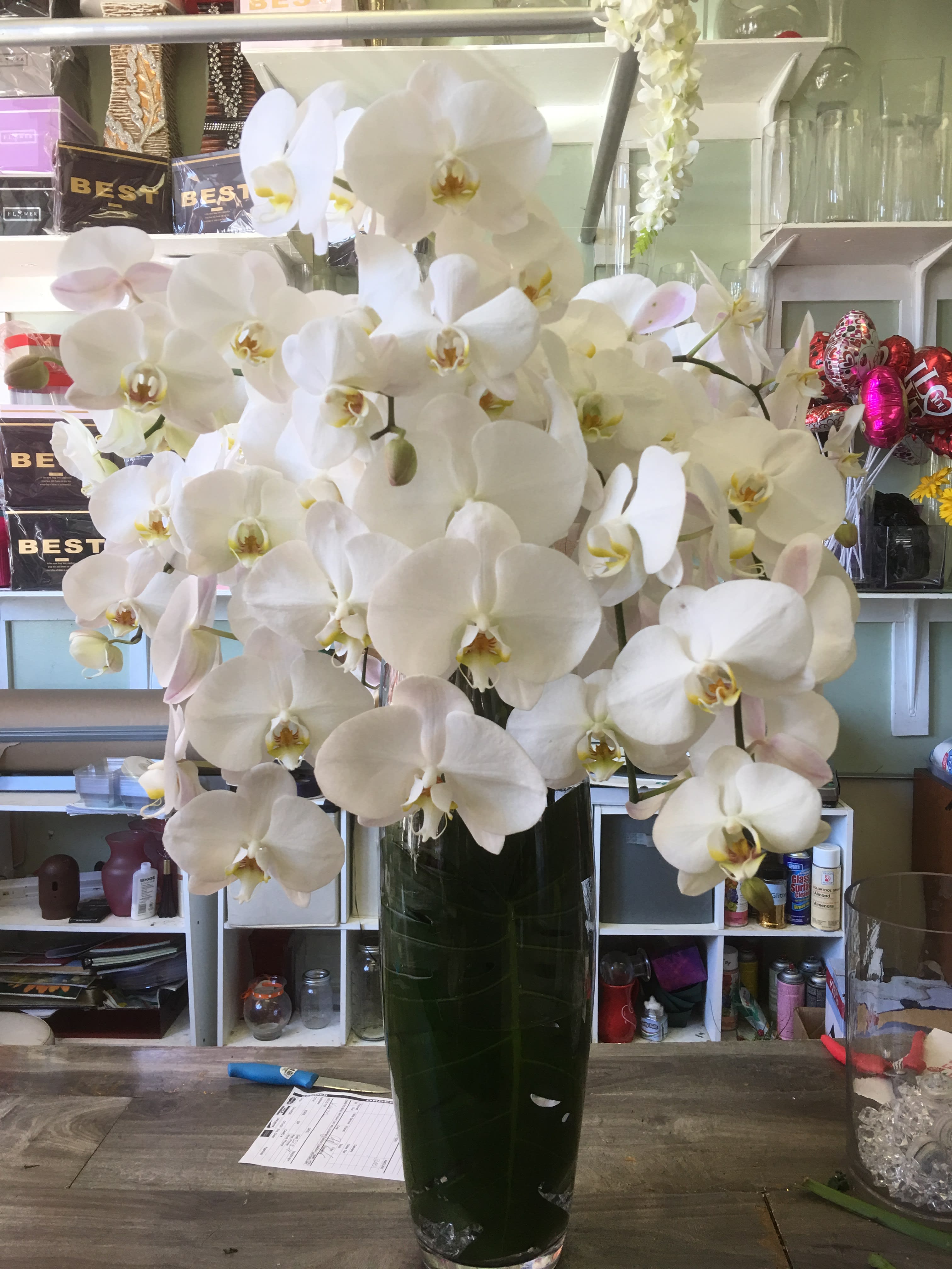 Orchid Paradise - More than 20 stems of Orchids in a tall elegant vase