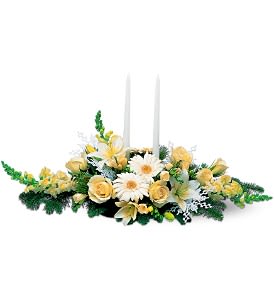 Two White Taper Centerpiece Two White Taper Centerpiece - Winter whites have always been a decorator's dream. And now you can make someone's dream come true with this wonderful winterland centerpiece. Freesia gerberas lilies and roses along with pine fir and white snowflakes adorn two white taper candles delivered in a centerpiece bowl.Approximately 31" W x 17" H Orientation: All-Around As Shown : TF98-1 Available for local delivery only