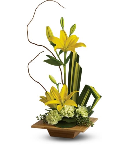Teleflora's Bamboo Artistry Teleflora's Bamboo Artistry - Give the gift of serenity with a graceful contemporary bouquet artistically arranged in an exotic dish made of real bamboo. A lovely surprise no matter where or Zen. The stunning bouquet includes yellow asiatic lilies and green carnations accented with tropical greenery. Delivered in a hand-crafted dish made of high-quality bamboo. Bouquet is approximately 11.5" (W) x 21.5" (H) Orientation: One-Sided As Shown : TFWEB645 Available for local delivery only
