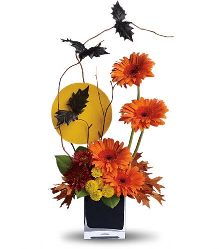 Teleflora's Boo-tiful Bats Teleflora's Boo-tiful Bats - Bats off to you for showing your Halloween spirit. With flowers bats and a glowing full moon this arrangement is a scream! Bright orange gerberas yellow button spray chrysanthemums red cushion spray chrysanthemums birch willow rust oak leaves and bats arrive in a black cube vase. Order now and we'll fly it right over.Approximately 11" W x 22 1/2" H Orientation: One-Sided As Shown : T177-1ADeluxe : T177-1BPremium : T177-1C