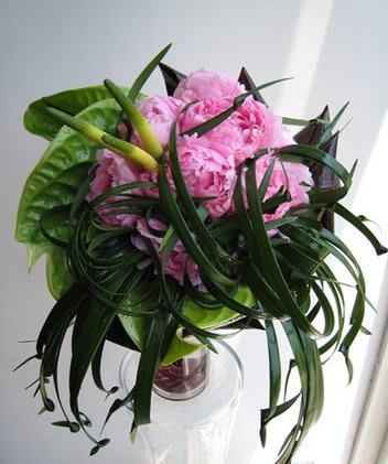 Hello Peonies Hello Peonies - Composed of Peonies, Lily Grass, Anthurium.