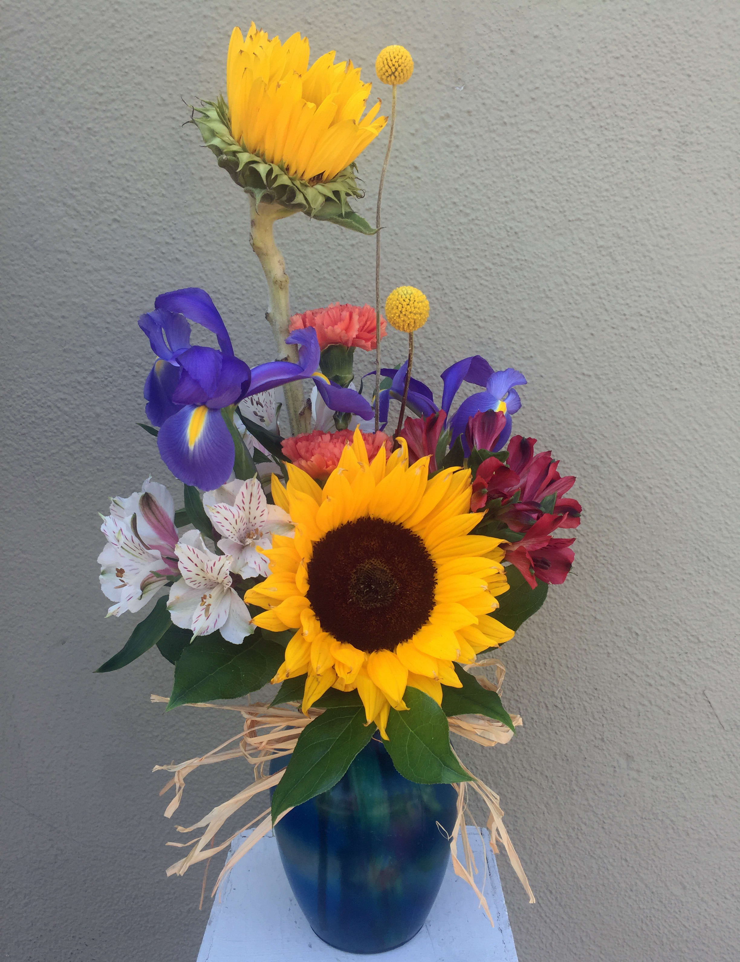 Sunflowers in Blue Vase in San Jose, CA Valley Florist