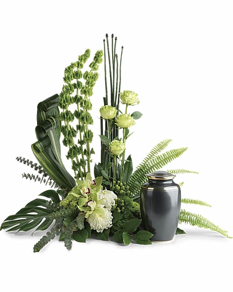 Tranquil Peace Cremation Tribute - This elegant, Eastern-inspired arrangement of hydrangea and orchids surrounds the cremation urn with a natural peace and tranquility. This unique arrangement features miniature green hydrangea, green cymbidium orchids, green orchids, green carnations, green trick dianthus, bells of Ireland, white disbud chrysanthemums, green button spray chrysanthemums, green hypericum, equisetum, sword fern, aspidistra leaves, spiral eucalyptus, monstera leaf, and lemon leaf. Arrangement does not include urn.
