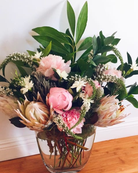 Bodacious Blooms King Protea by Maximum Bloomage