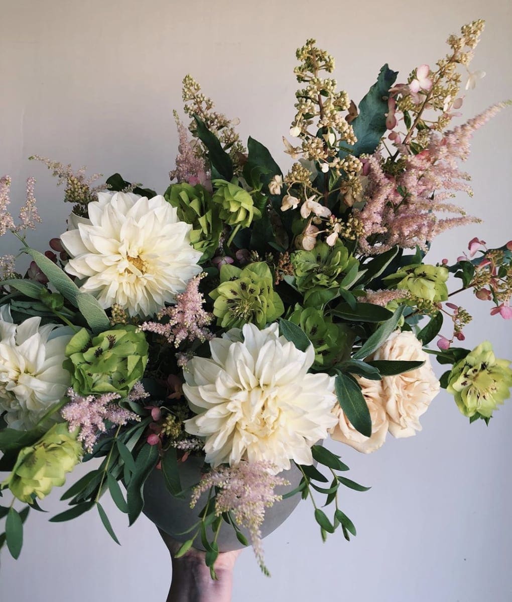 Cafe Dahlia Arrangement By Maximum Bloomage In mixed borders in the garden, in containers or window boxes on balconies. cafe dahlia arrangement by maximum bloomage