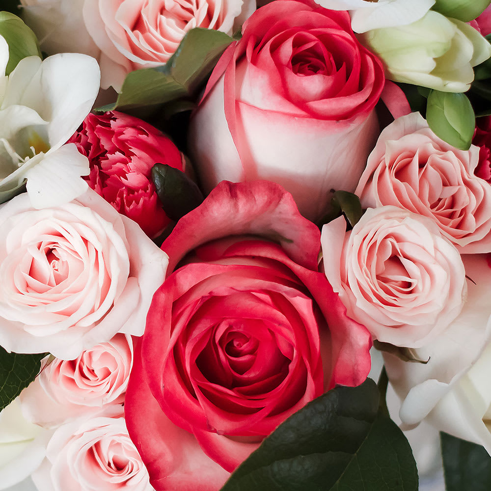 Designer's Choice- Romantic in Carlsbad, CA | Sunfresh Flowers