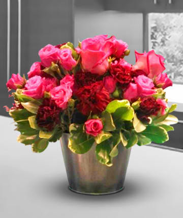 Bucket of Love Bucket of Love - Bucket filled with roses and carnations to delight the heart. Substitutions of equal or greater value may be made depending on season and availability of product or container.