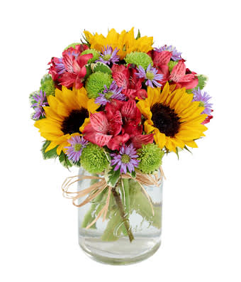 Flowers Fields Mason Jar - If you've ever sauntered through a field of beautiful flowers, you know what a treat it is for the senses. This vividly colorful arrangement captures the essence of a flower field with magnificent sunflowers, alstroemeria and poms set in a stylish mason jar with a natural raffia bow. Measures 10&quot;H X 8&quot;L. 