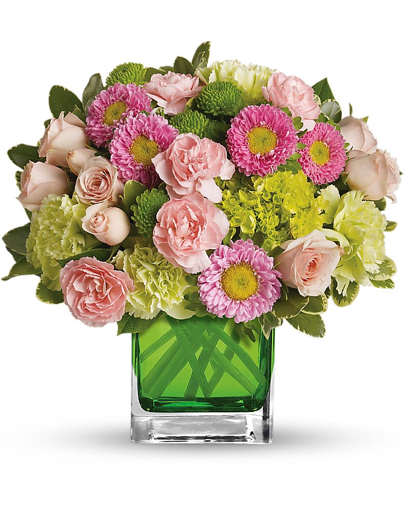 Make Her Day by Teleflora - Sweetly sophisticated this arrangement of green miniature hydrangea and light pink spray roses presented in our citrus green glass cube is the perfect gift. Includes green miniature hydrangea light pink spray roses green carnations pink miniature carnations pink matsumoto asters and green button spray chrysanthemums accented with assorted greens. Delivered in Teleflora&#039;s glass citrus cube.