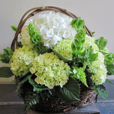 Irish Basket By Paradise Flowers