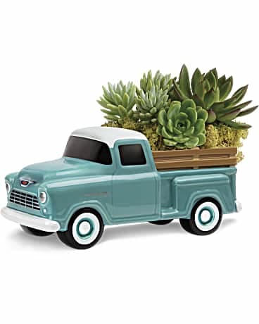 Perfect Chevy Pickup By Teleflora - Perfect Chevy Pickup By Teleflora - Celebrate dad with a gift he'll enjoy long after Father's Day: Gorgeous green echeveria, planted in the back of this charming ceramic Chevy pickup. Hand-painted and hand-glazed, it's one of the ways we're commemorating the 100th Anniversary of Chevrolet Trucks! Large green echeveria succulents are arranged with reindeer moss. Delivered in Teleflora's Chevy Pickup Keepsake. Orientation: All-Around T18F110A