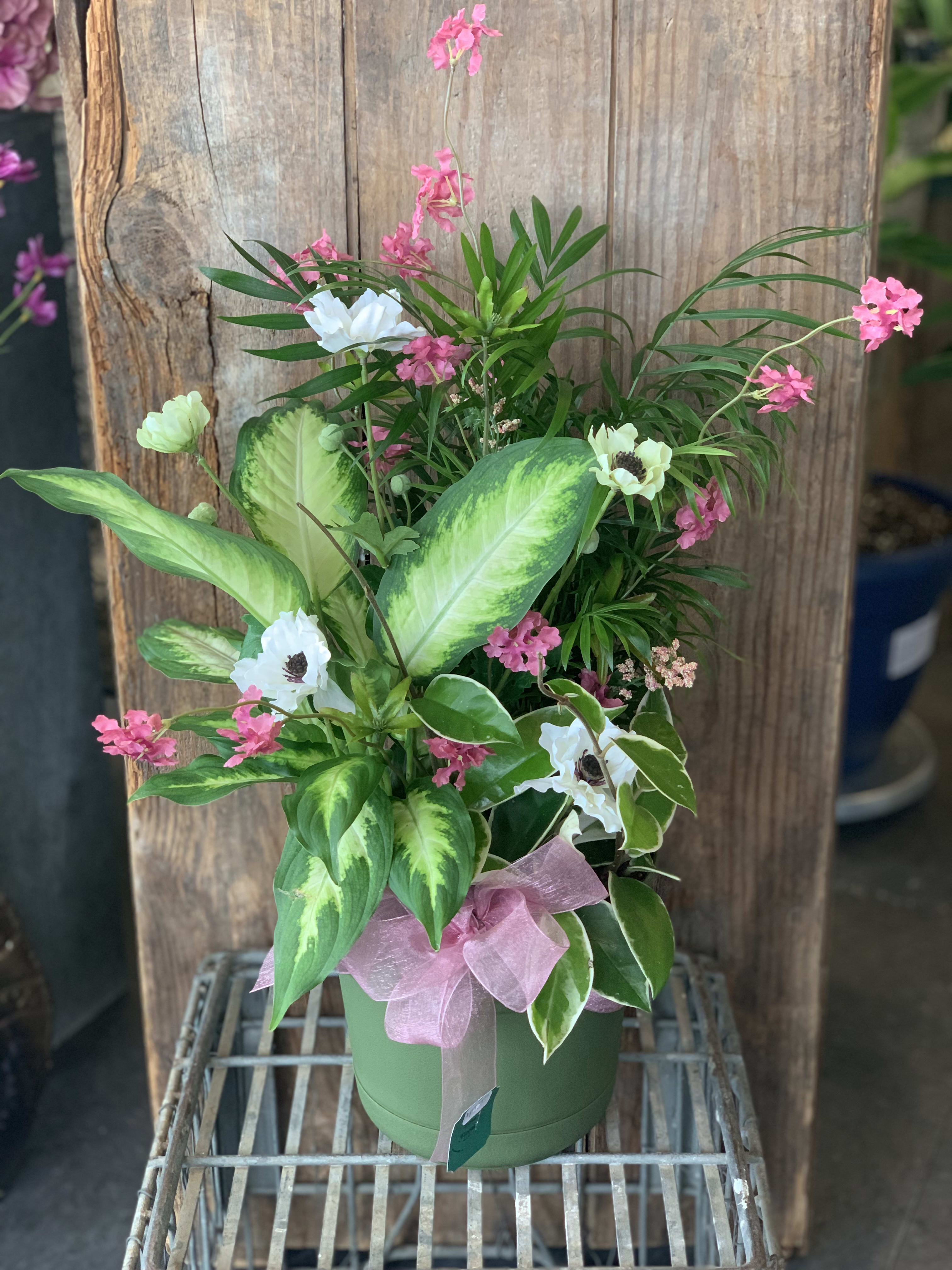 Dish Garden In Waupun Wi Rens Floral