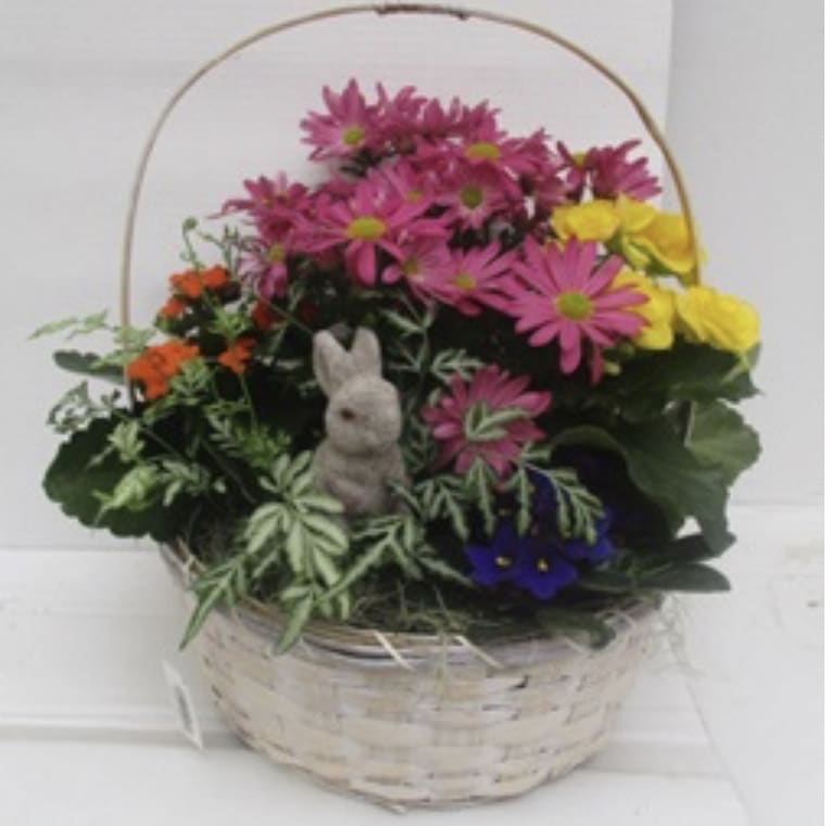 Easter Blooming Basket In Wilkes Barre Pa Kelly Ann S Floral See more ideas about flower arrangements, floral arrangements, basket flower arrangements. kelly ann s floral