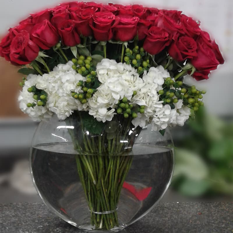 Roses - Roses