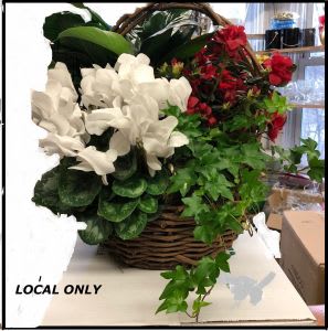 English Garden English Garden - Our English Garden is a delightful mixed basket of green and flowering plants, in their individual pots, combined, mossed off and decorated to present a sumptuous garden of delight. Sure to please the most important person. Also is an ideal presentation for a wake or sympathy gift for the home. Plant choices dependent on availability. As pictured is our small size.