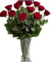 Our Elegant Red Roses Our Elegant Red Roses - An elegant statement in simplicity! Vase may vary!