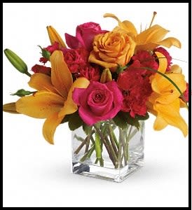 The Bright Cube The Bright Cube - Here we feature brilliant blossoms perfectly arranged in a clear glass cube. Dazzling roses mixed with the freshest of lillies combine to brighten anyone's day. Here it is featured in hot pink and bright oranges. It is available in a variety of color combinations using only the freshest of flowers. Colors may vary upon availability of flowers. Deluxe is shown in picture.