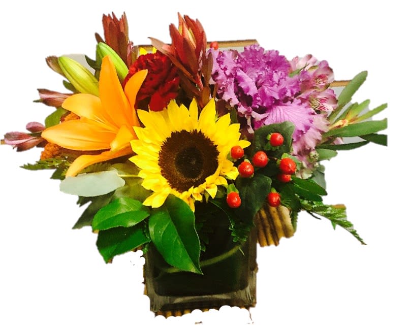 FAll Harvest FAll Harvest - Our FALL HARVEST makes a bold, vivid statement. The vase is filled with the finest of fall flowers including, kale, sunflowers, lilys, coffee beans, alstroemeria and leucadendrom, all stems wrapped with green leaves. Flowers may vary with availability.