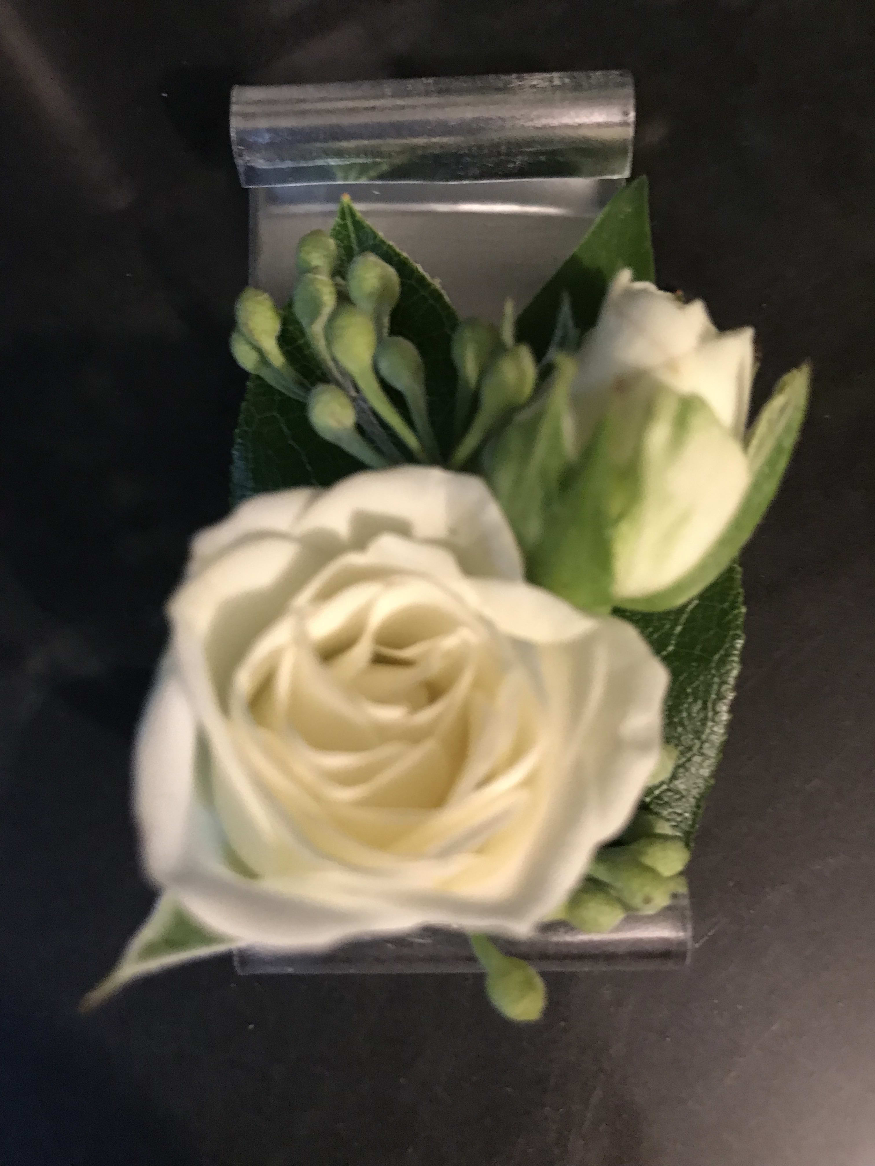 Rose Boutonniere with no pins Rose Boutonniere with no pins - White rose boutonniere on silver aluminum backing. Perfect for formal or informal occasions. Works well on a jacket or a shirt. No pins needed.