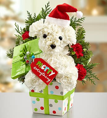 Santa Paws - Product ID: 90274  EXCLUSIVE Presenting a brand new look for everyone's favorite holiday pup! Hand-arranged using fresh carnations and fragrant greens, and sporting his very own Santa hat, this festive fido is all wrapped up in the spirit of the season. Arriving in an exclusive ceramic gift box designed by inspirational artist, Sandra Magsamen, heâs ready to wish all the special people in your life a âMerry Everything!â Santa Pawsâ¢ a-DOG-able arrangement crafted with fresh white carnations, red mini carnations and assorted Christmas greens Comes with Santa hat Arrangement measures 13&quot;H x 7&quot;L Artistically arranged by our select florists inside a reusable ceramic gift box container with removable lid and beaded âMerry Everythingâ tag, created exclusively by inspirational artist and author Sandra Magsamen, who uses her own creativity and spirit to design gifts that help people express themselves and connect with others Dolomite ceramic gift box measures 4.5âW x 5.5âH; food and dishwasher safe; do not use in microwave Resin tag with debossed âMerry Everythingâ sentiment measures 1.75âW x 4.5âL Our florists select the freshest flowers available, so colors and varieties may vary due to local availability