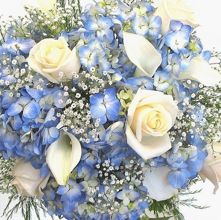 Beautiful In Blue Callas Rose Bouquet Brides Or Bridesmaids By Designs By Precious Petals