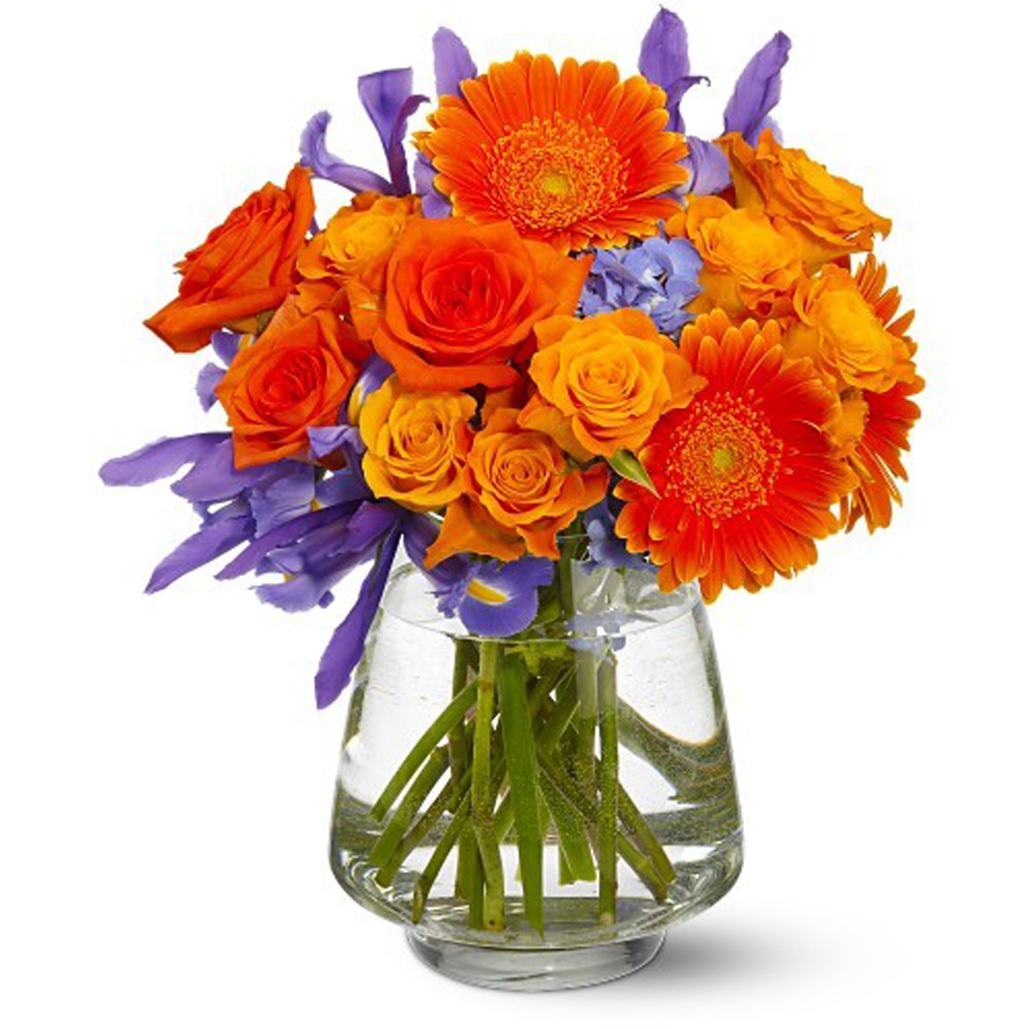 Paint the Town - Paint the town with joy! Send a hot orange and cool blue bouquet of roses, irises and gerberas, and make a loved one's spirits soar. This cheerful gift of fresh flowers will be a beautiful addition to any room.    Bright and coral-colored orange roses, orange gerberas, blue irises and hydrangea are delivered in a clear glass pyramid vase.    Approximately 13&quot; (W) x 12&quot; (H)    Orientation: All-Around    As Shown : TFWEB182