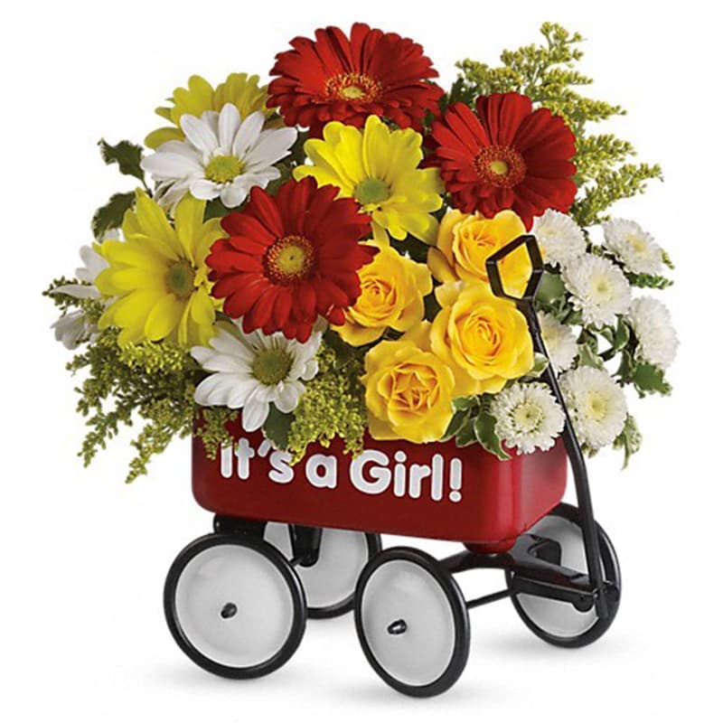  Baby's Wow Wagon by Teleflora - Girl - Talk about the perfect welcome wagon! Available for boys and girls, this darling keepsake will be cherished for years. Bright, cheerful and ready to &quot;roll&quot; right into the nursery.  Pretty yellow spray roses, red miniature gerberas and matsumoto asters, white and yellow daisy spray chrysanthemums, white button spray chrysanthemums and solidago are lovingly arranged in a wagon - the wow factor is now officially off the charts!      Orientation: All-Around      All prices in USD ($)      Standard      T97N400A      Deluxe      T97N400B      Premium      T97N400C 