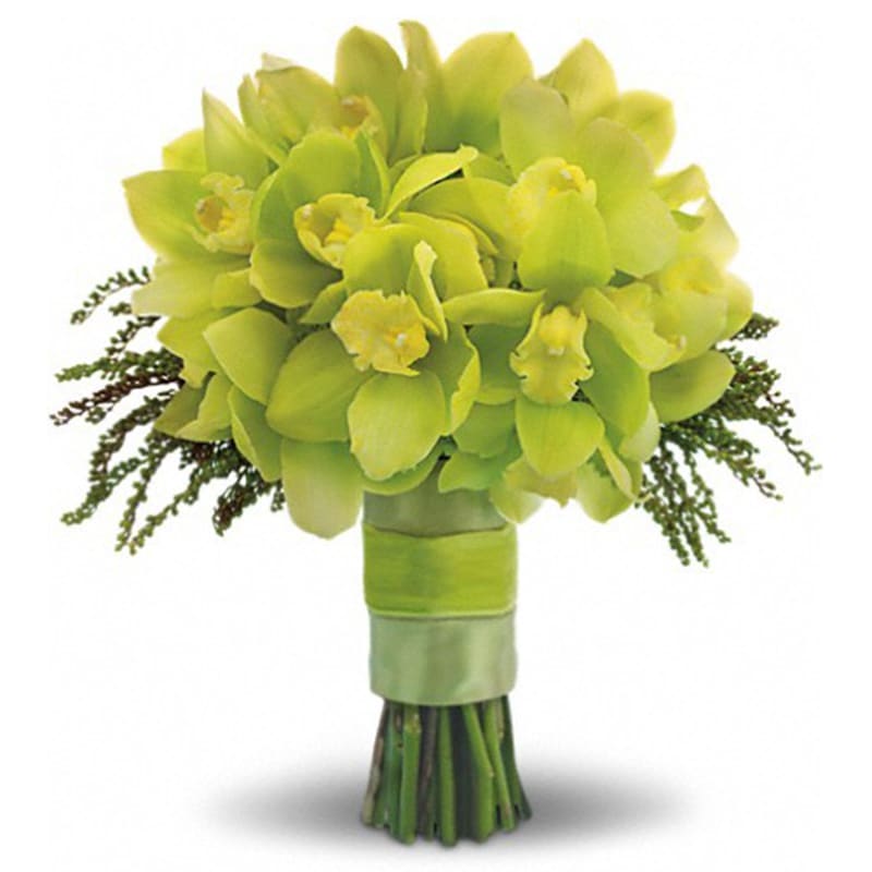  Green Glee Bouquet - Steal the limelight with this chic chartreuse bouquet of cymbidium orchids, hydrangea and delicate pieris japonica.  A stunning green array of cymbidium orchids, hydrangea and pieris japonica.      Orientation: N/A      All prices in USD ($)      Standard      T194-8A 