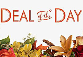 Blossom Shoppe florist designed - the deal of the day is fresh florist designed bouquet your choice of basket or vase. we love to let the designers loose to do what there are best at. each design is hand crafted by one of our designers with the days pick of flowers from our daily floral deliveries. this is always a wonderful choice because each day is a little different. fresh, and new ideas.