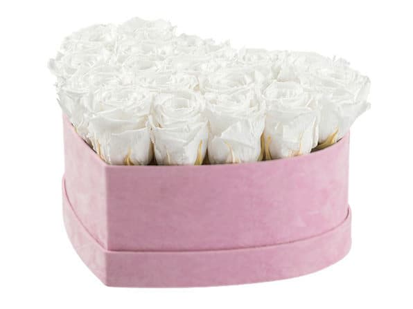 Pink Velvet Heart With White Preserved Roses - Velvet High Quality Heart box with preserved roses. Preserved Rose can last about one year. No Maintenance required. No Water. No direct sunlight. Very special present.