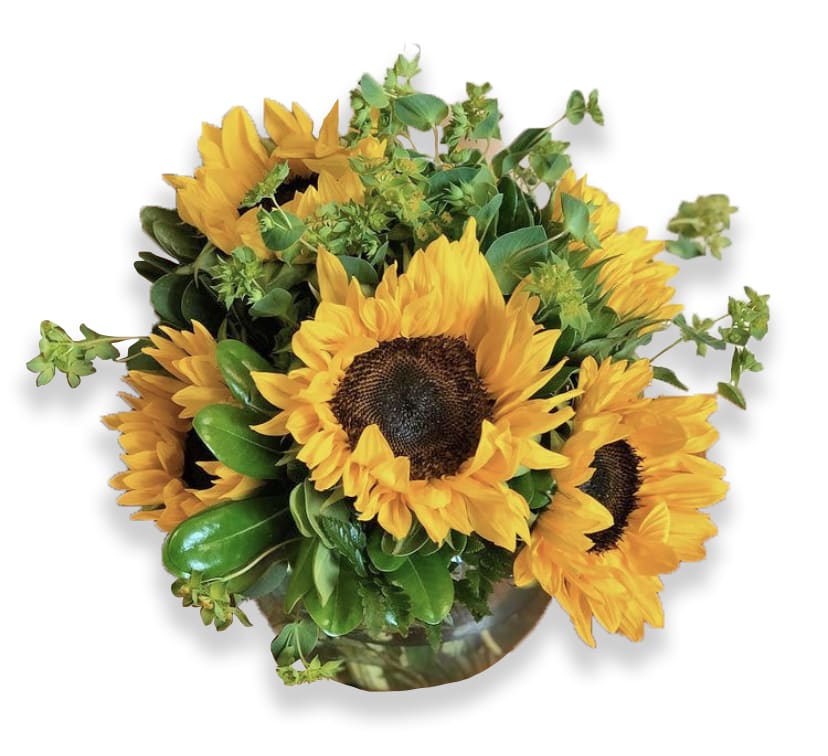 Sunny Sunflower by Teleflora - Whoever receives this stunning bouquet is sure to be bowled over by its bold beauty! It's big on fun and big on flowers. 