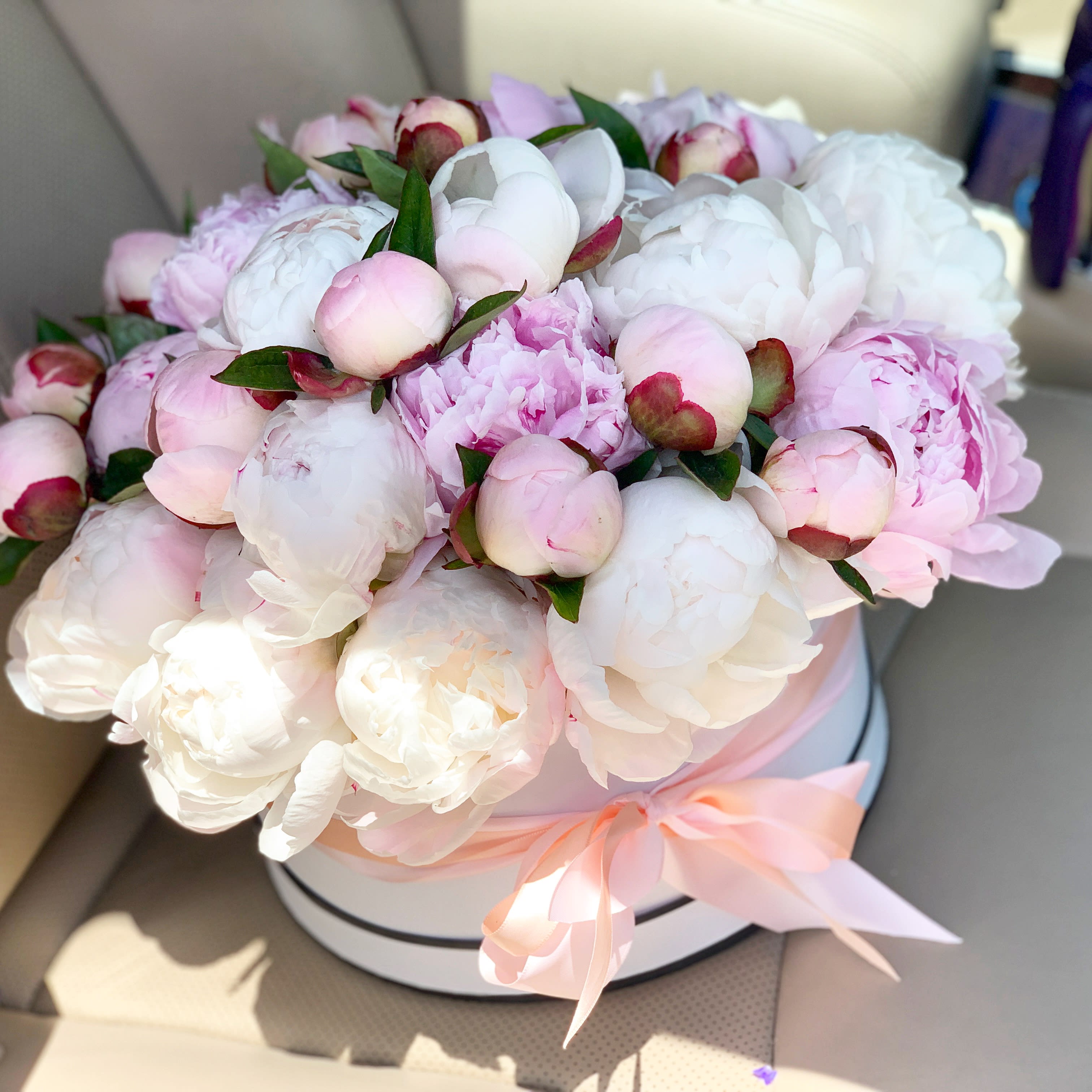 36 Peonies in a box  - 36 Peonies in a box 
