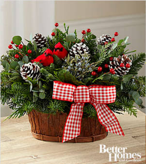 The FTD® Joyful Tidings Holiday Basket by Better Homes and Gardens® - FTD® proudly presents the Better Homes and Gardens® Joyful Tidings Holiday Basket. Set to make that perfect seasonal impression, this gorgeous, fresh basket will delight your special recipients both near and far. Beautiful base of Noble Fir, Western Red Cedar and berried juniper are perfectly arranged in a natural woven basket to create an incredible look. Accented with cardinals and a checked bow, this holiday arrangement will be a wonderful gift for any of the special people on your holiday gift list. Approximately 15&quot;H x 11&quot;W. Your purchase includes a complimentary personalized gift message.